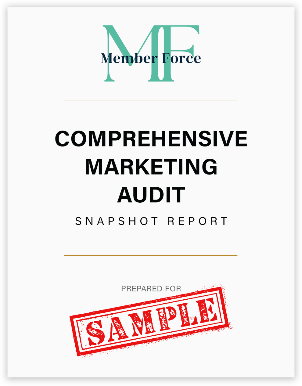 Cover of a sample comprehensive marketing audit snapshot report.